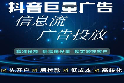 抖音信息流代理在电商行业的应用案例分析